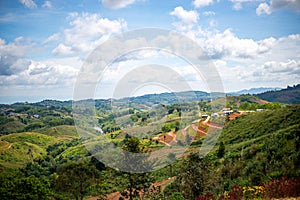 A bird`s eye view of the mountain forest