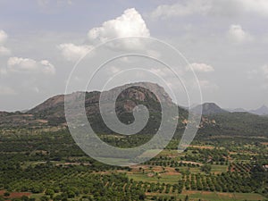 Bird`s eye view of mountains, green trees, forest, fields and meadow