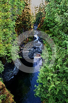 Bird`s eye view of the river - Englishman river falls, Vancouver Island, BC