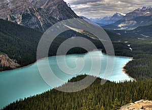 Bird`s Eye View To The Breathtaking Peyto Lake At The Icefield Parkway Banff National Park