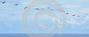 Bird`s Eye View from Top of Hunting Island Lighthouse