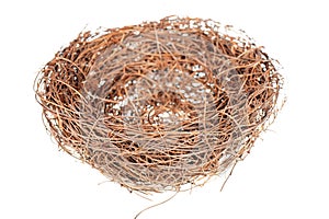 Bird's nest