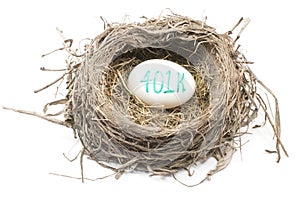 Bird's Nest with 401K Egg photo