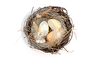 Bird's nest with easter eggs