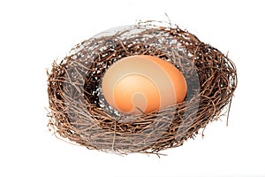 Bird's nest with an egg