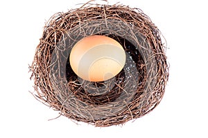 Bird's nest and egg