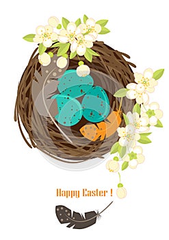 Bird`s nest with eggs and flowering branches.