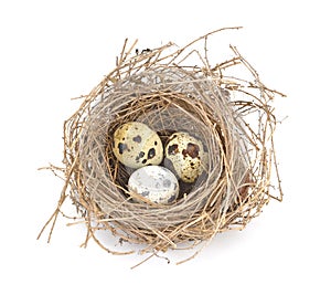 Bird's nest and eggs isolated on white.