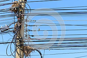 Bird`s nest on electric cable