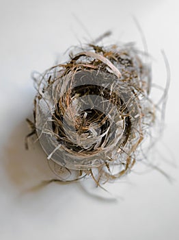 A bird`s nest on the floor