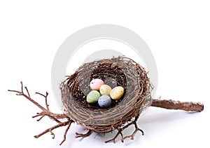 Bird's Nest With Pastel Eggs