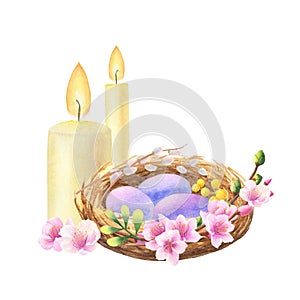 Bird's nest with purple eggs, branches with flowers and Easter candles on white. Hand drawn watercolor illustration