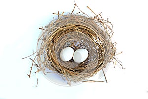 Bird\'s nest with two white egg in it isolated over white background. Eggs in straw nest