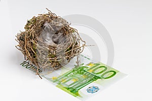 Bird's nest on white background with banknote