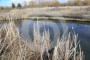 Bird sanctuary lifestyle of the Okanagan real-estate billboard