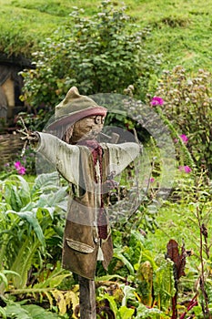 Bird scarer on the meadow behind the fence