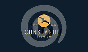 Bird seagull fly on sunset logo vector illustration design