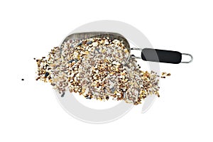 Bird seed
