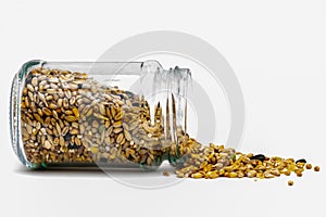 Bird seed food in a glass jamjar