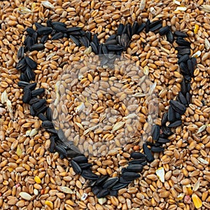 Bird seed with sunflower seed heart shape