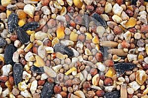 Bird seed texture background