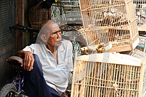 Bird seller