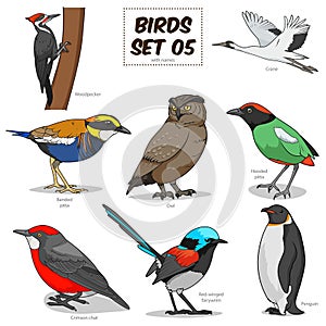 Bird set cartoon colorful vector illustration