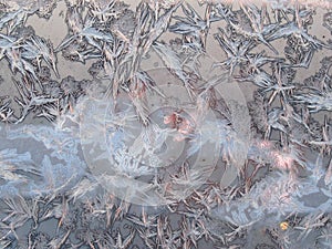 Bird shape frost ice crystals formations on a window glass. Frostwork pattern on morning light pink sunny sky background