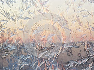 Bird shape frost ice crystals formations on a window glass. Frostwork pattern on morning light pink sunny sky background