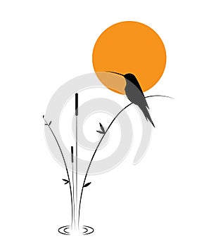 Bird silhouette and bamboo on sunset, vector. Kingfisher bird, illustration. Minimalist art design. Poster design