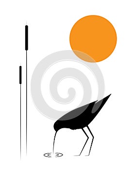 Bird silhouette and bamboo on sunset, vector. Water bird, illustration