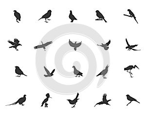 Bird silhouette, Flying bird silhouette, Bird silhouettes, Bird clipart, Bird vector set, Vector elements