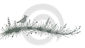 Bird silhouette grass design. Nature wildlife graphic element. Suitable for logos web design prints. Minimalist white photo