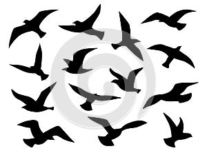 Bird silhouettes. Flying birds flock, black drawing flight raven tattoo template, monochrome animal wild life migration