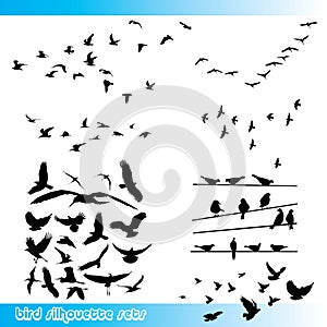 Bird silhouettes set