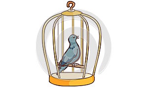 Bird singing in the cage