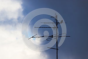 Bird sit on an antenne