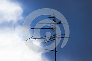 Bird sit on an antenne