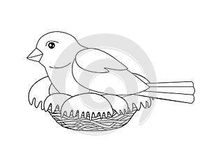 Bird sits on a nest - vector linear picture for coloring. A small bird - a sparrow hatches eggs in a cozy nest. Outline