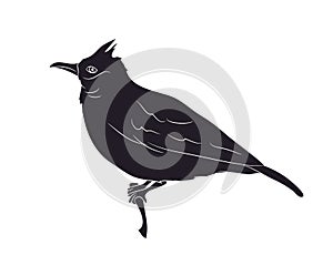 Bird sitting on a branch, silhouette, vector