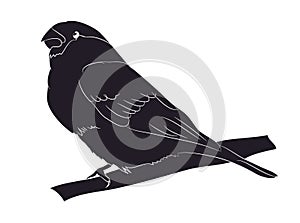 Bird sitting on a branch, silhouette, vector