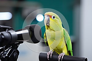 a bird sitting on a camera