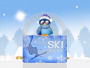 Bird with skipass