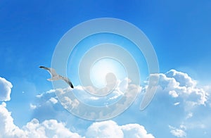 Bird soaring high above the clouds in a heavenly deep blue sky with fluffy clouds