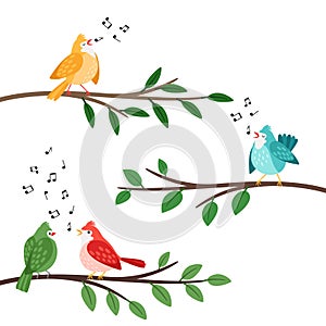 Bird songs. Singing birds friends on tree branches, birdes cartoon musical baby background, romantic couple banner