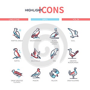 Bird species - modern line design style icons set