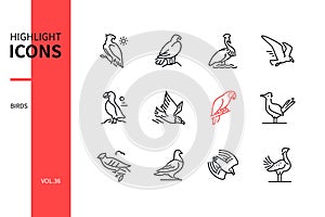 Bird species - modern line design style icons set