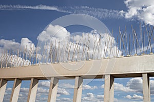 Bird spikes or anti pigeon control for roof and balconies at home