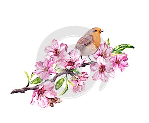 Bird in spring flowers. Springtime blossom, cherry, apple, sakura branch. Watercolor