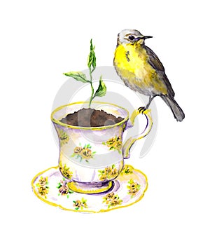 Bird, spring sprout - green growing plant in teacup. Watercolor